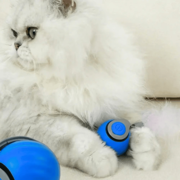 🔥New Version Upgrade Interactive Electric Rolling Ball with Teasing Tail