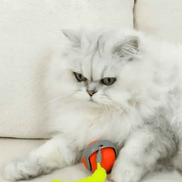 🔥New Version Upgrade Interactive Electric Rolling Ball with Teasing Tail