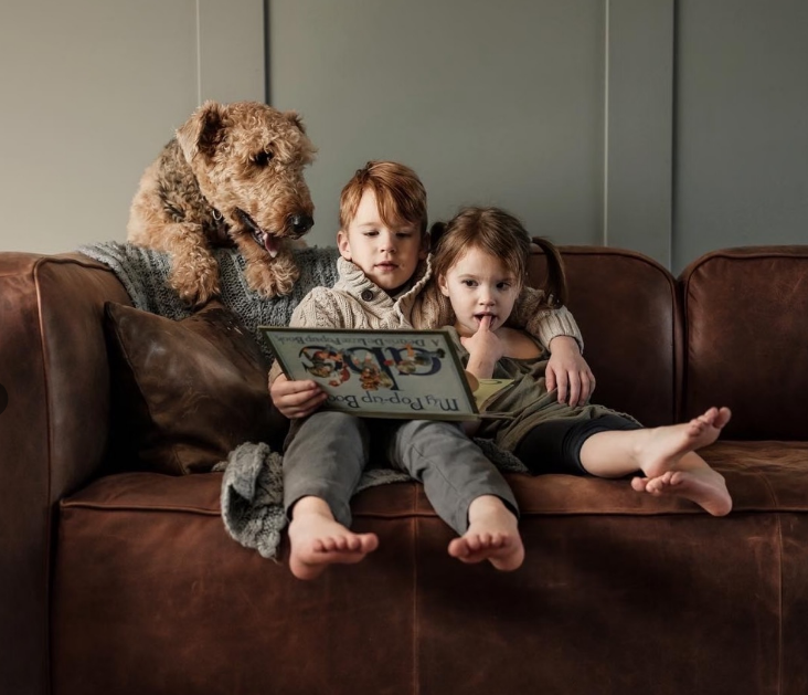 Children’s Toys